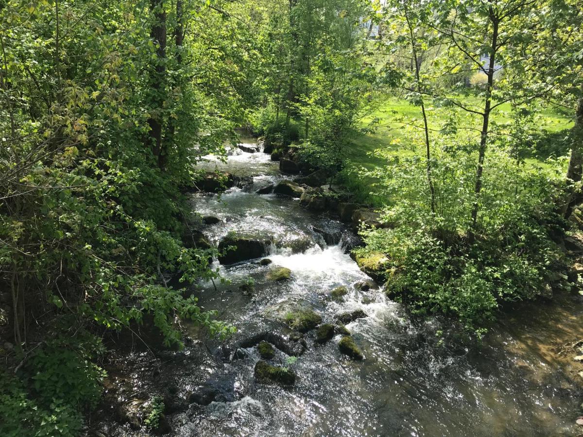 Grosse Und Helle 3 Zi Wohnung In Lossburg-Betzweiler, Schwarzwald 外观 照片